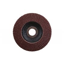 Kotouč lamelový 125mm P40 Festa 21786