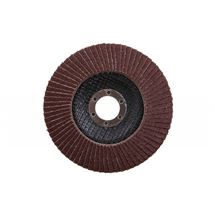 Kotouč lamelový 125mm P80 Festa 21788