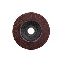 Kotouč lamelový 125mm P100 Festa 21789