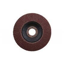 Kotouč lamelový 125mm P120 Festa 21790