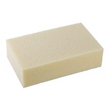 Houba vymývací mořská 160x110x60mm Festa 37029