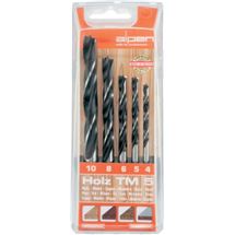 Sada vrtáků 4 - 10 5-dílná dřevo ALPEN